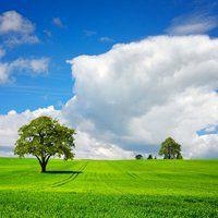 年纪大点的头像(精选10张)