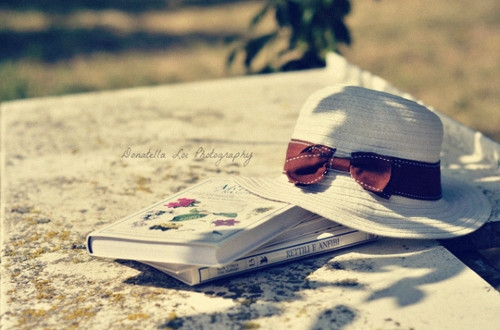 适合冬天群发的句子简短(精选56句)