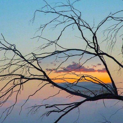 适合七零后的微信头像图片(精选12张)