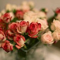 适合七零后的微信头像图片(精选12张)