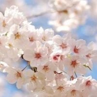 适合七零后的微信头像图片(精选12张)