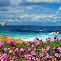 适合七零后的微信头像图片(精选12张)