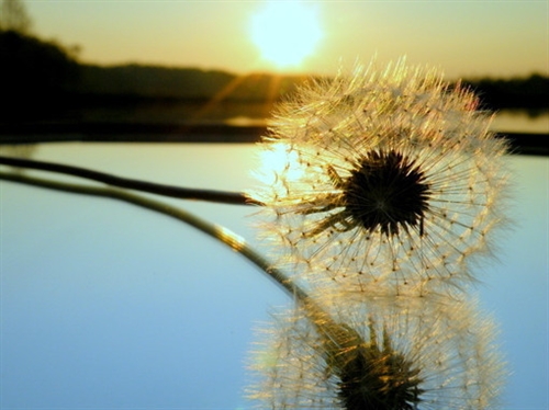 最火文案短句致自己(精选45句)