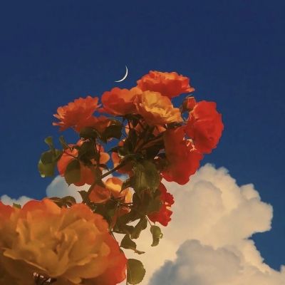 2023有寓意的微信头像(精选12张)