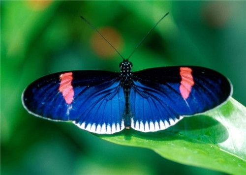 不负青春不负韶华的唯美句子(精选38句) 不负青春不负韶华的唯美句子(精选38句)