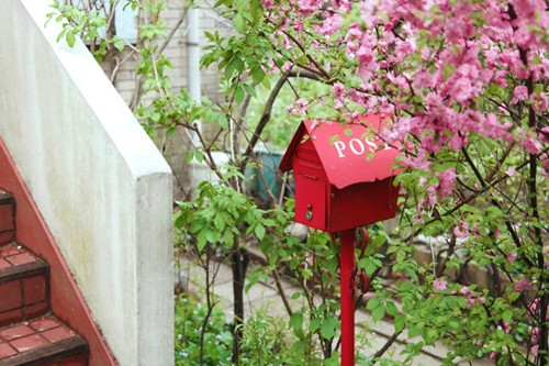 妈妈陪你慢慢长大感言(38句) 妈妈陪你慢慢长大感言(38句)