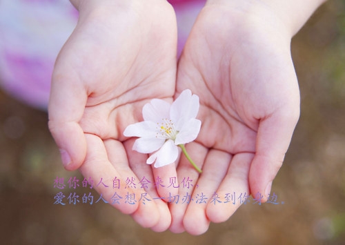 关于信仰的说说(41句) 关于信仰的说说(41句)