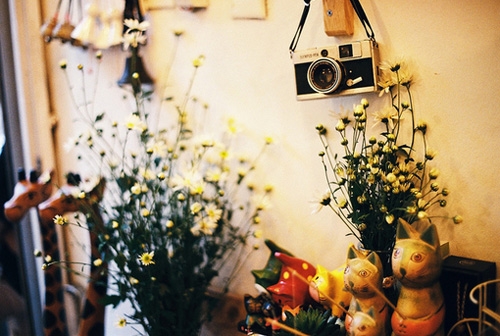 看开了释然了的句子(41句)