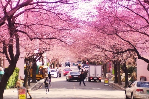 五字古风网名大全(精选57个)