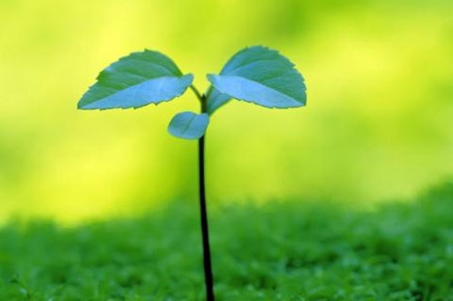 祈祷亲人早日康复句子汇总(精选33句)