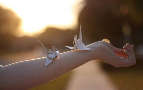 2023充满正能量的晚安心语(47句)