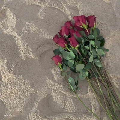 适合中年女性的微信头像图片花朵