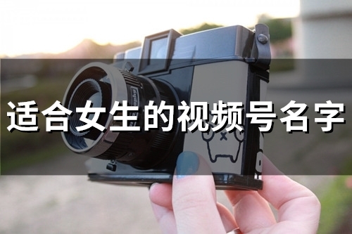 适合女生的视频号名字(精选56个)
