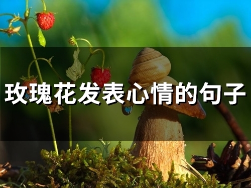 玫瑰花发表心情的句子(精选54句)