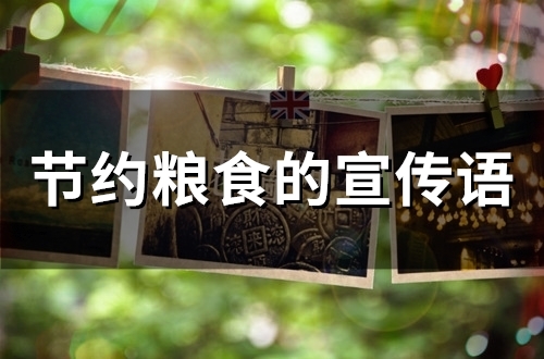 节约粮食的宣传语(精选49句)