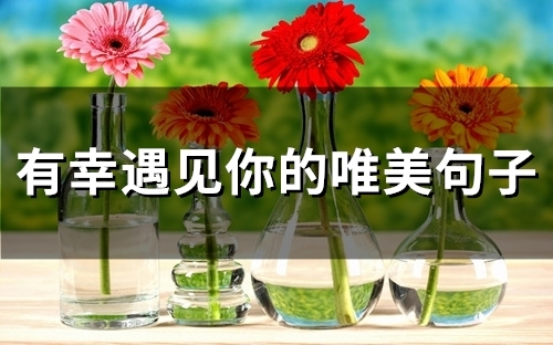 有幸遇见你的唯美句子(33句)