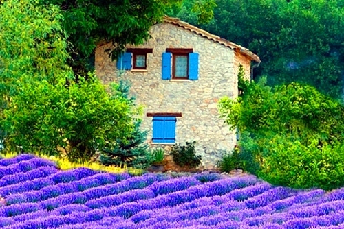 每天励志正能量早安语(47句) 每天励志正能量早安语(47句)