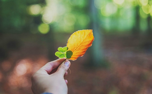 刚做完手术的关心话语(35句)