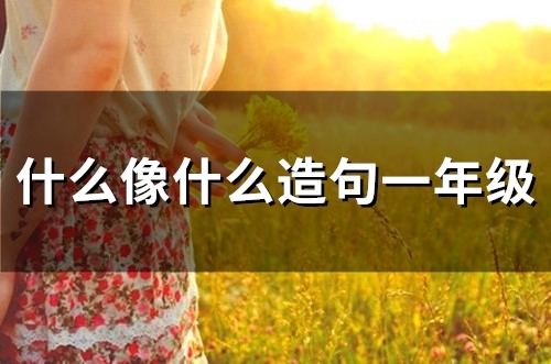 什么像什么造句一年级(50句)