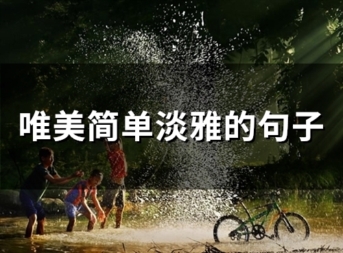 唯美简单淡雅的句子(47句)