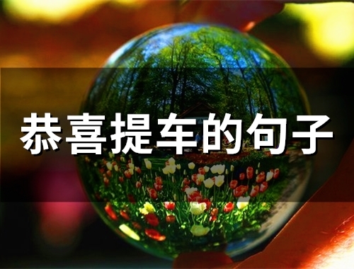 恭喜提车的句子 抖音很火的提车祝福语(精选52句)