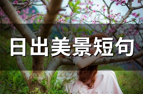 日出美景短句 日出早安短句(精选45句)