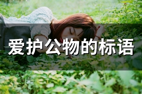 爱护公物的标语(精选28句) 爱护公物的标语(精选28句)