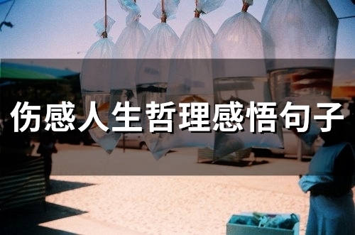 伤感人生哲理感悟句子(48句) 伤感人生哲理感悟句子(48句)