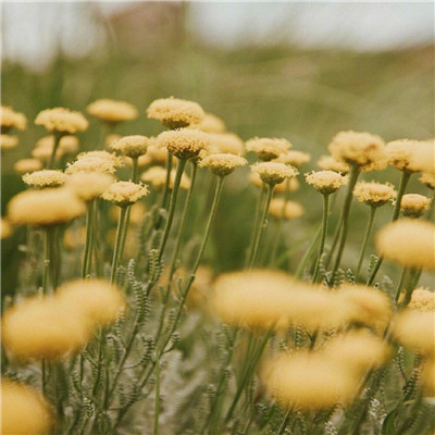 头像图片2023最火爆风景(精选12张)