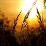 头像图片2023最火爆风景(精选12张)