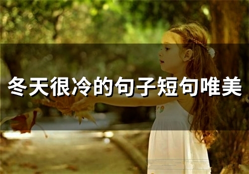 冬天很冷的句子短句唯美(45句) 冬天很冷的句子短句唯美(45句)