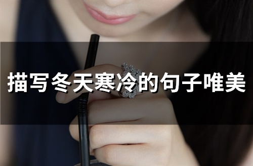 描写冬天寒冷的句子唯美(31句)