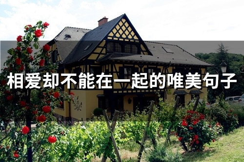 相爱却不能在一起的唯美句子(精选60句)