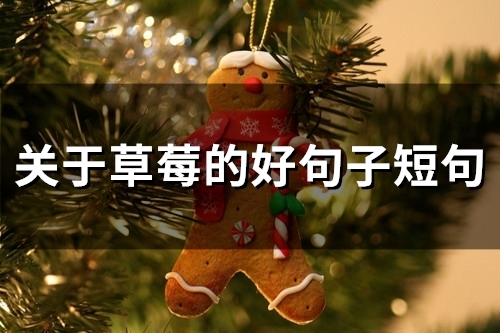 关于草莓的好句子短句(47句) 关于草莓的好句子短句(47句)