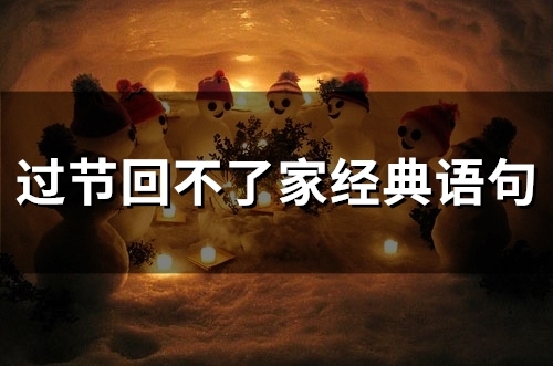 过节回不了家经典语句(精选53句) 过节回不了家经典语句(精选53句)