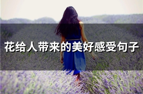 花给人带来的美好感受句子(48句)