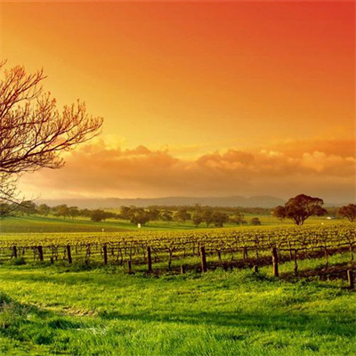 父母认为好看的头像(精选12张)