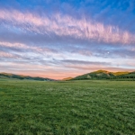 父母认为好看的头像(精选12张)