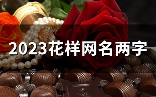 2023花样网名两字(54个)