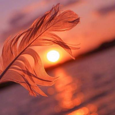 女人最适合的微信头像2023(精选14张)