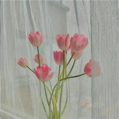 女人最适合的微信头像2023(精选14张)