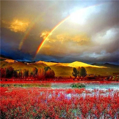 2023微信头像最火大全(精选14张)