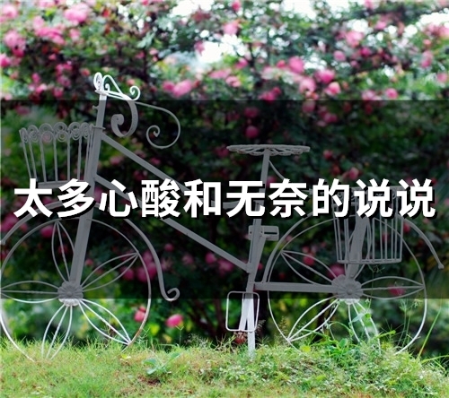 太多心酸和无奈的说说(精选55句) 太多心酸和无奈的说说(精选55句)