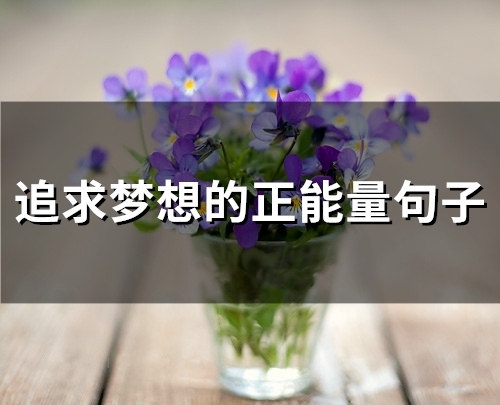 追求梦想的正能量句子(52句)