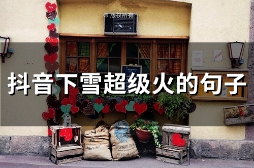 抖音下雪超级火的句子(52句)
