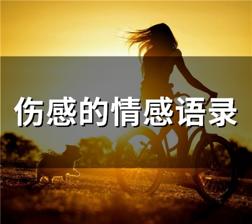 伤感的情感语录(53句)