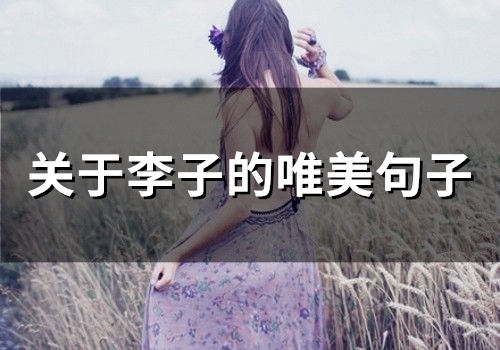 关于李子的唯美句子(48句) 关于李子的唯美句子(48句)
