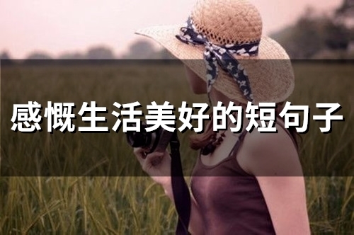 感慨生活美好的短句子(精选45句)