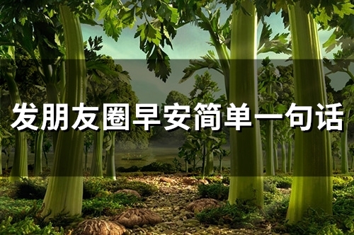 发朋友圈早安简单一句话(59句) 发朋友圈早安简单一句话(59句)