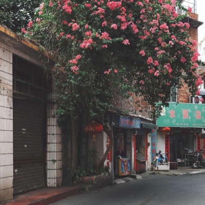 女人幸运又聚财的微信头像图片